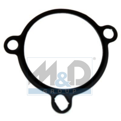 EGR Gasket (KIT 10 pcs)