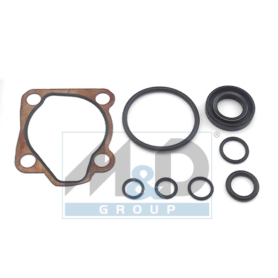 Hydraulic pump repair kit