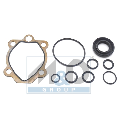 Hydraulic pump repair kit