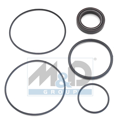Hydraulic pump repair kit
