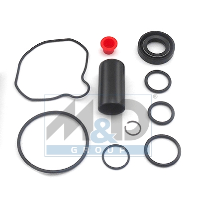 Hydraulic pump repair kit