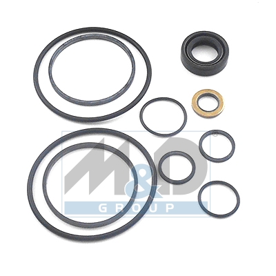 Hydraulic pump repair kit