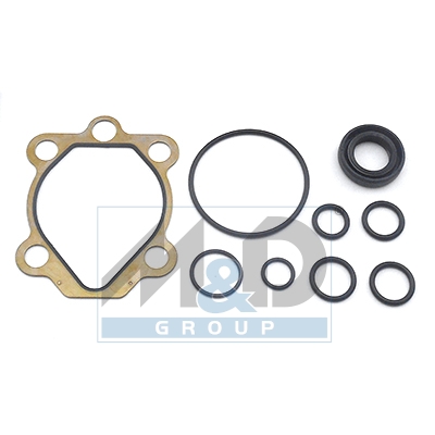 Hydraulic pump repair kit
