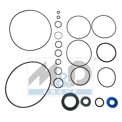 Hydraulic pump repair kit