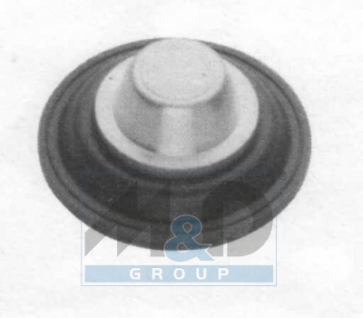 Diaphragm