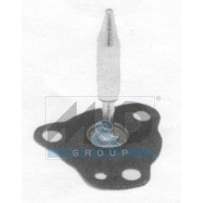 Diaphragm