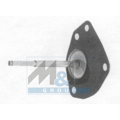 Diaphragm