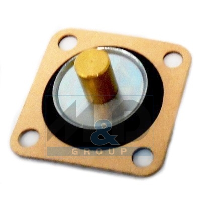 Diaphragm