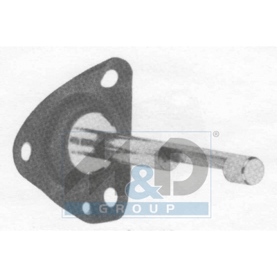 Diaphragm