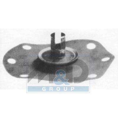 Diaphragm