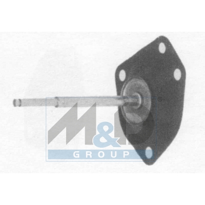 Diaphragm