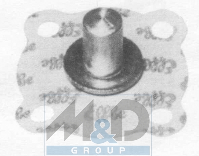 Diaphragm
