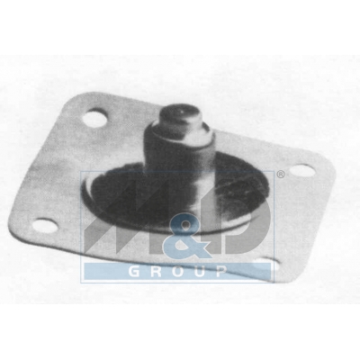 Diaphragm