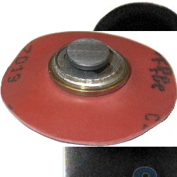 Diaphragm