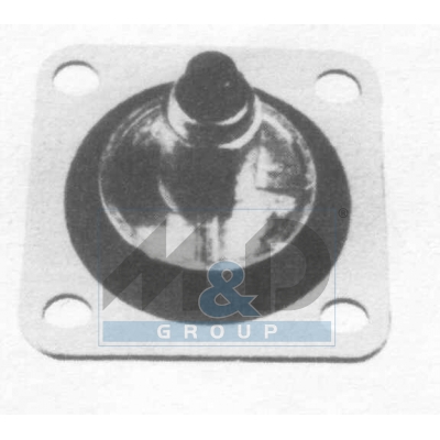 Diaphragm