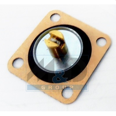 Diaphragm
