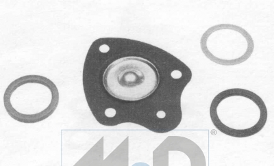 Diaphragm