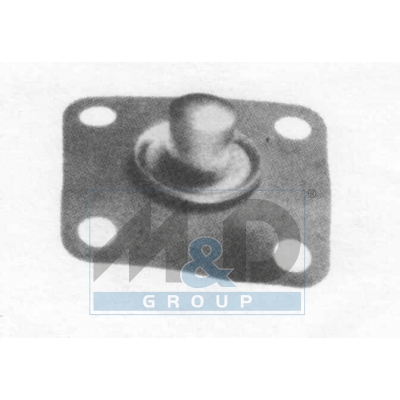 Diaphragm