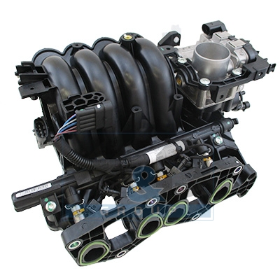 Intake manifold module