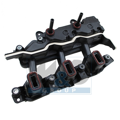 Intake manifold module