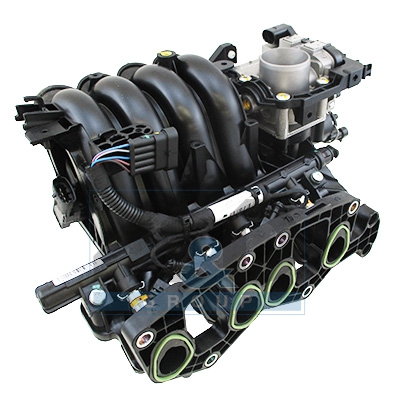 Intake manifold module