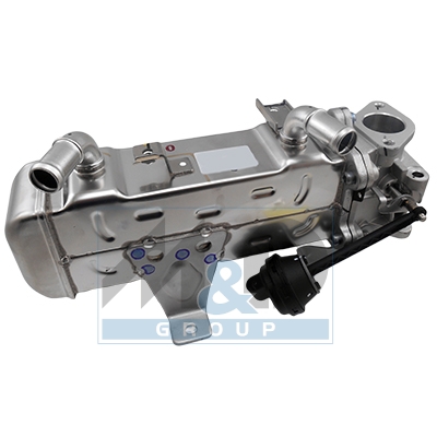 EGR Module
