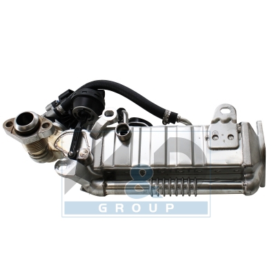 EGR Module