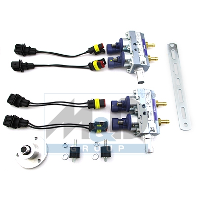 Rail GPL AMP Violet 2+2 cyl.E4