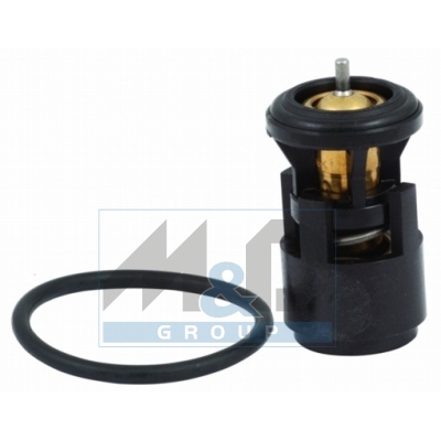Thermostat, coolant