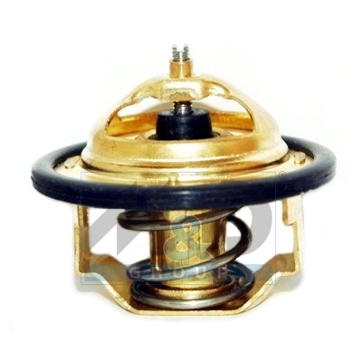 Thermostat, Kühlmittel