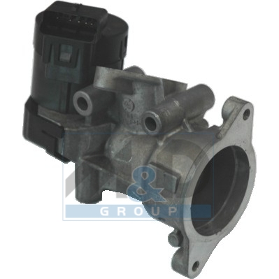 EGR Valve