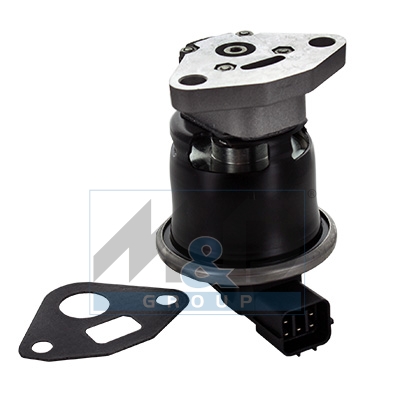EGR Valve