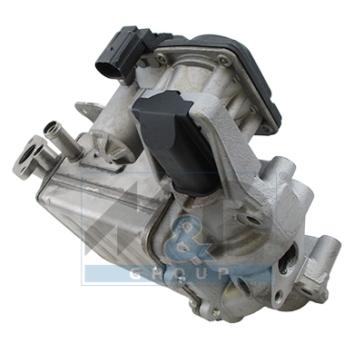 EGR Module