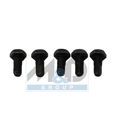 Screw (kit 5 pcs.)