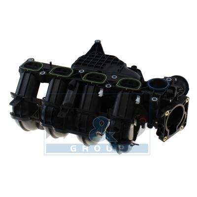 Intake manifold module