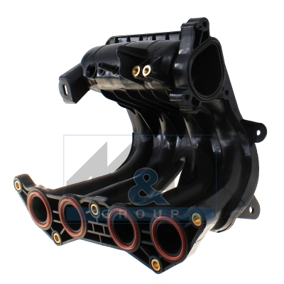 Intake manifold module