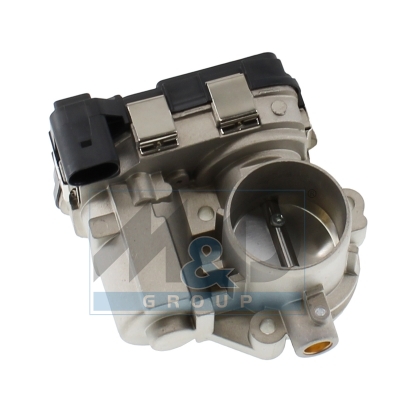 Throttle body