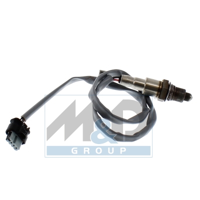 Oxygen Sensor