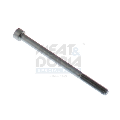 [981018] Injector fixing screw
