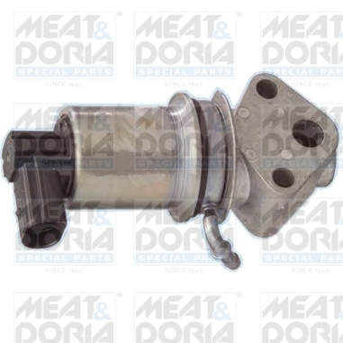 [88010] EGR Valve