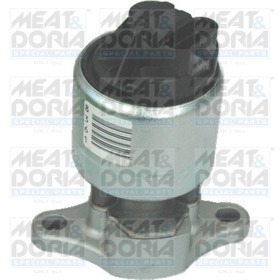 [88111] EGR Valve