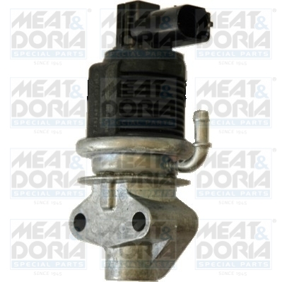 [88150] EGR Valve