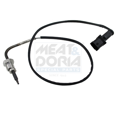 [11985E] Sensor, Abgastemperatur