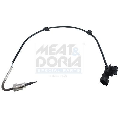 [12089E] Sensor, Abgastemperatur