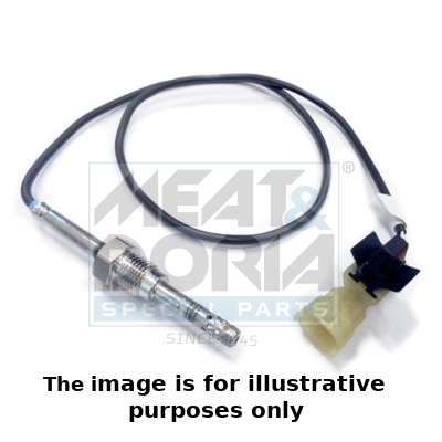 [12075E] Temperatursensor für Dieselpartikelfilter (DPF)