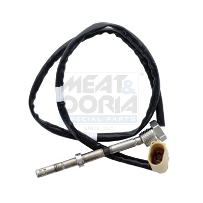 [12307] exhaust gas temperature sensor