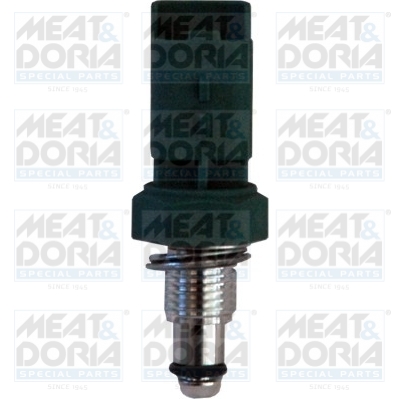 [82302] Sensor, coolant temperature