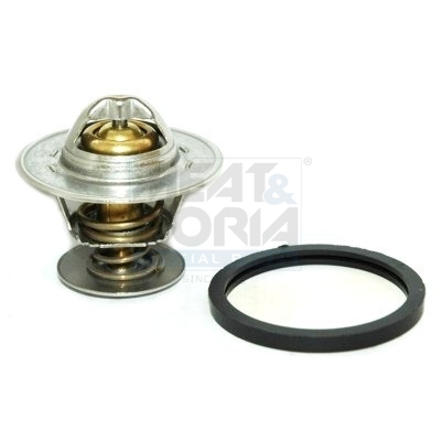 [92193] Thermostat, coolant
