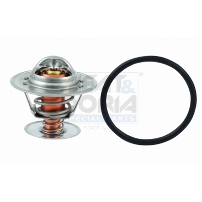 [92308] Thermostat, coolant