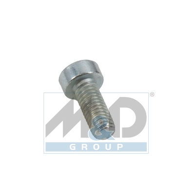 [981178] Bolzen/Schraube für DELPHI Pumpen (25 Stück Kit)